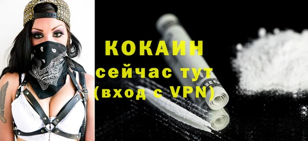 твердый Михайловск